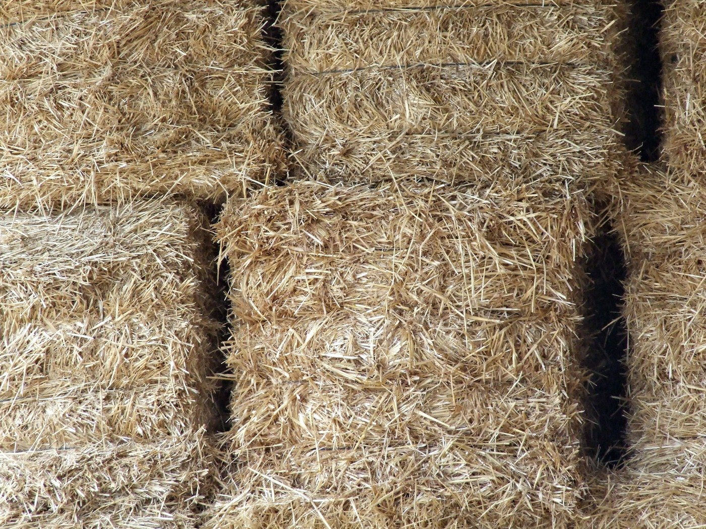 Bagged and bulk feeds